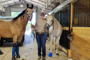 20230615_090459 20230615_090459