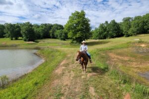 Trail rider near pond 2 Trail rider near pond 2